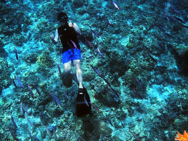 🪸10년 전 보홀 바다의 모습을 그대로 간직한 숨겨진 스팟🐠