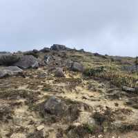 大帽山 (Tai Mo Shan)