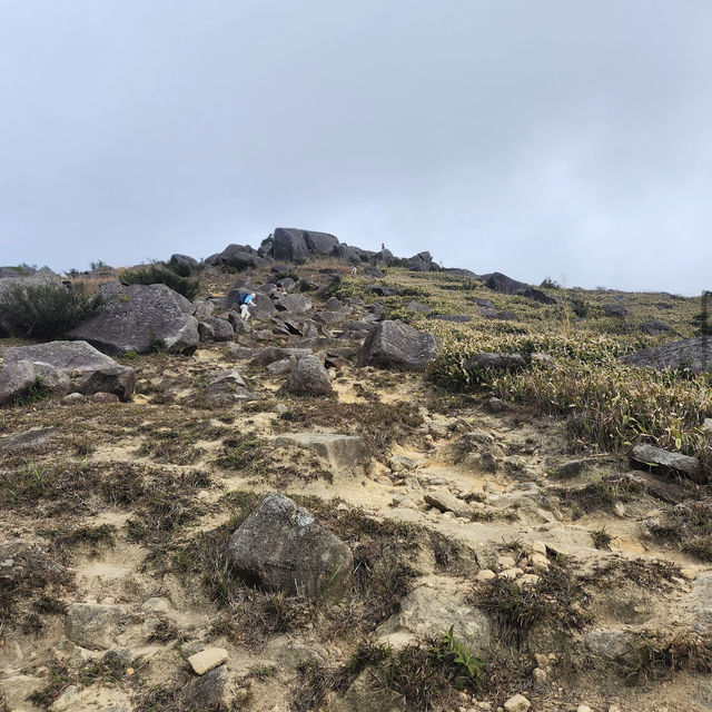 大帽山 (Tai Mo Shan)