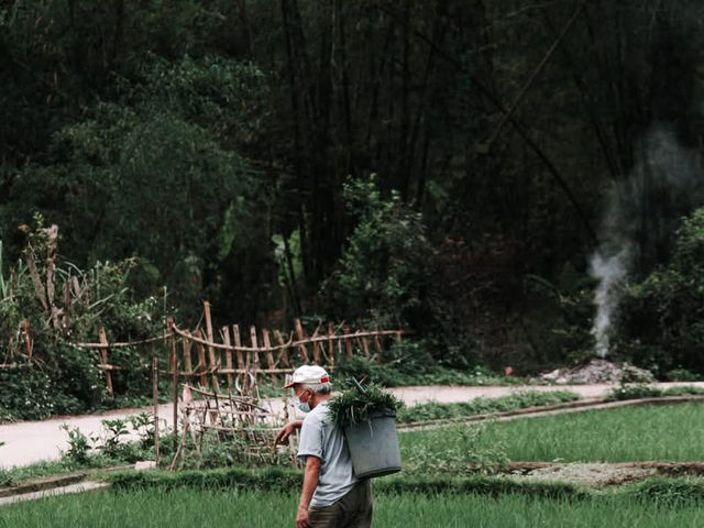 Tây bắc