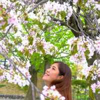 Matsumoto Moments – Castles, Culture & Mountain Calm