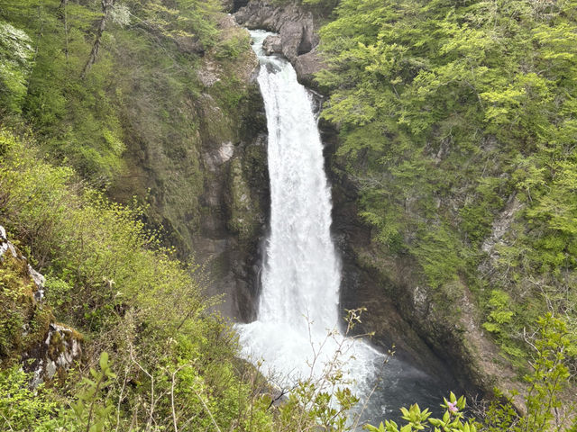 【宮城】の魅力大公開！1泊2日グルメに景色に堪能レポ