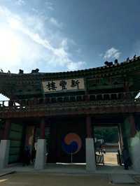 Suwon in Bloom: Cherry Blossoms Amidst Historic Beauty