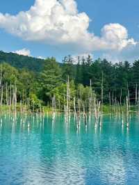🍃 Summer in Furano, Hokkaido — Must-Visit Spots! 🌸✨