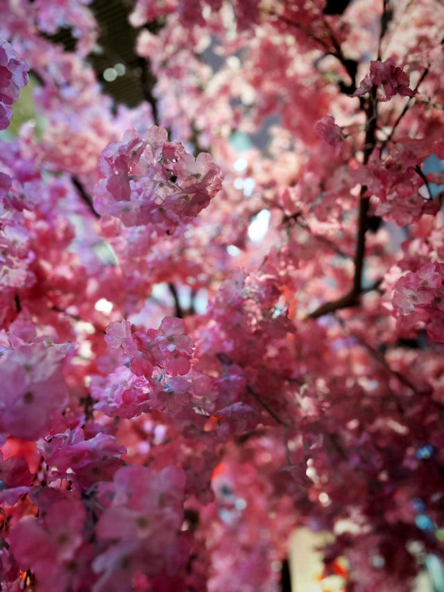 Petals of Perfection — Spring Elegance at Kenrokuen, Kanazawa