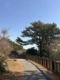 韓國濟州🍊｜開車幾7分鐘就能遠離塵囂 來「正房瀑布」走走吧⛰️