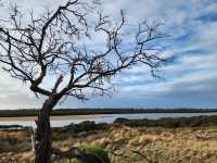 🌿 Rhyll Inlet Weekend Escape: 2 Days of Nature & Relaxation