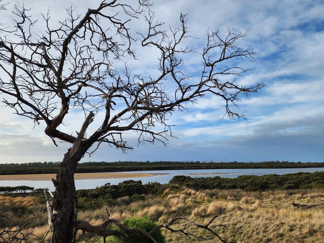 🌿 Rhyll Inlet Weekend Escape: 2 Days of Nature & Relaxation