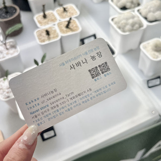 흔하지 않은 식물을 데리고 올 수 있는 사바나 농장 💛