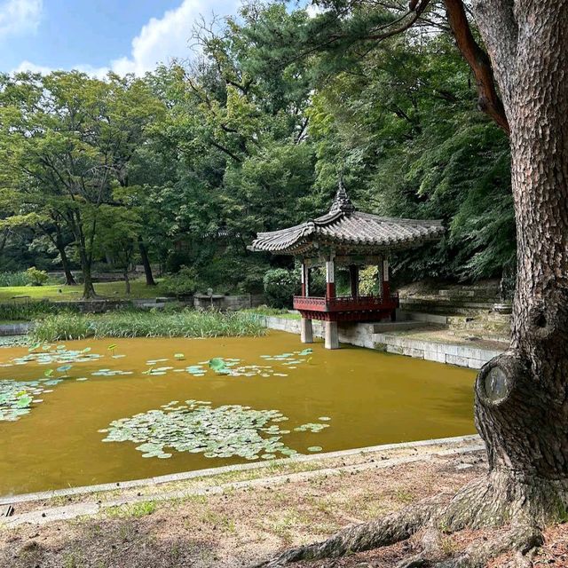 Changdeokgung Palace Secret Garden