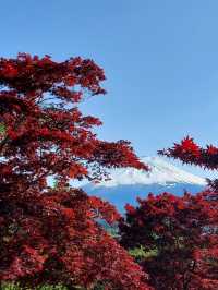魅力だらけの静岡県