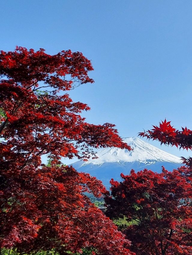 魅力だらけの静岡県