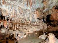 斯洛維尼亞 | 搭小火車輕鬆看鐘乳石洞---波斯托伊納溶洞 Postojna Caves