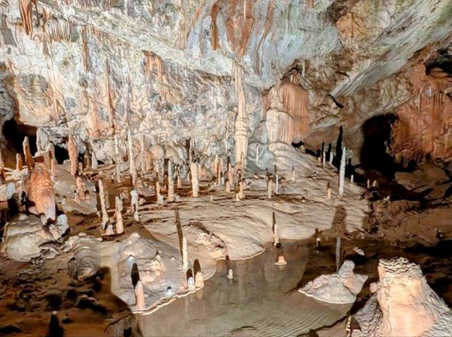 斯洛維尼亞 | 搭小火車輕鬆看鐘乳石洞---波斯托伊納溶洞 Postojna Caves