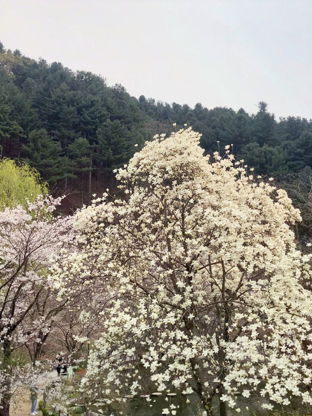 부모님과 함께하는 주말여행🎈