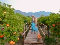 move to mountain cafe