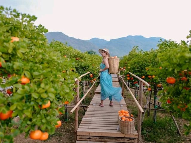 move to mountain cafe
