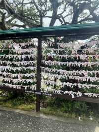 《沖繩必訪神社》波上宮：海上懸崖上的琉球信仰聖地
