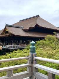 京都　京都観光　京都観光攻略はコレだ！