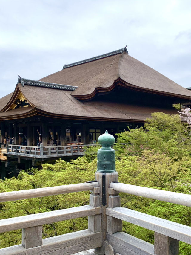 京都　京都観光　京都観光攻略はコレだ！