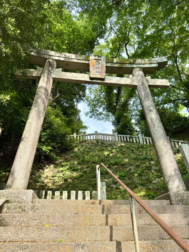 Exploring Ōzu – A Castle View & a Shrine Escape