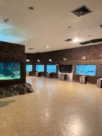 ไปดูปลากันที่ พิพิธภัณฑ์สัตว์น้ำจังหวัดหนองคาย 🐠