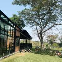ร้าน Mulberry Mellow (มัลเบอร์รี่ เมลโล่)