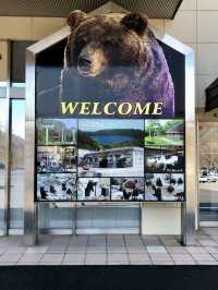 A Relaxed Day in Noboribetsu – Bears, Views & Volcanic Wonders