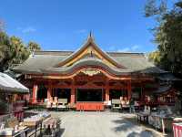 Spring Bliss at Aoshima Shrine