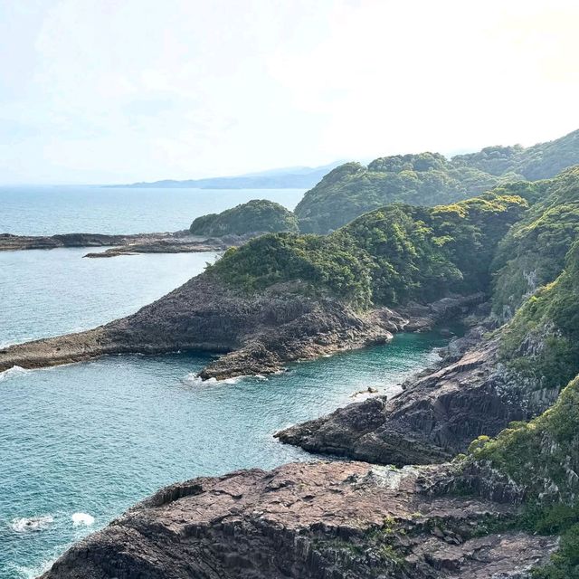Skeluccha Views Hit Different