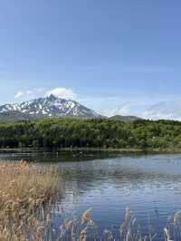 利尻富士を望む島最大の湖沼【オタトマリ沼】