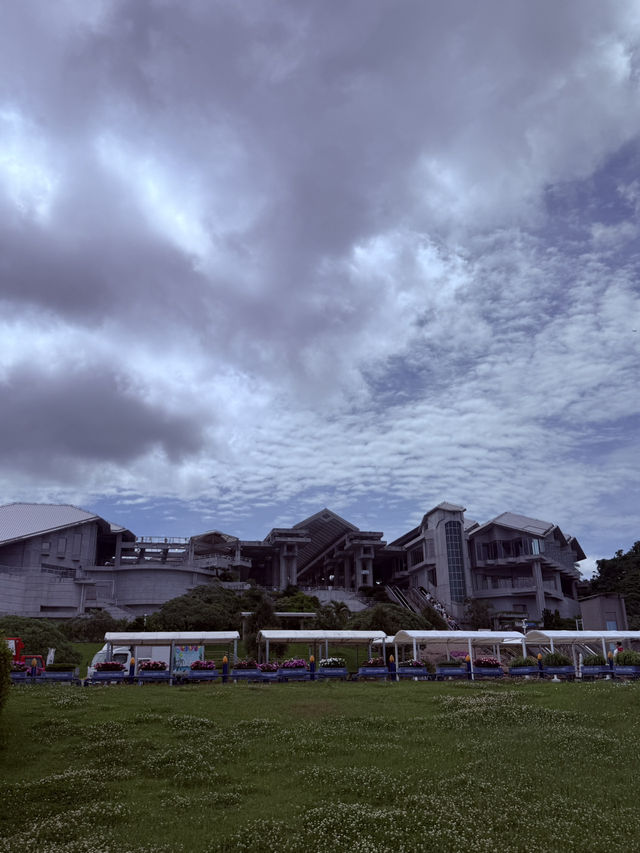 沖繩｜再遠都值得跑一趟 美麗海水族館的黑潮之美