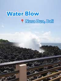 A powerful natural attraction 🌊