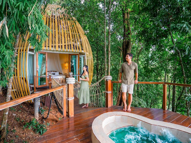 ‘Lan Na Wild’ ..สวรรค์กลางป่าใหญ่บนยอดดอย