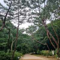 Gimpo Jangneum Royal Tomb