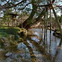 🏯🌸 Kanazawa Castle Park Weekend Itinerary: Samurai Grandeur & Japanese Gardens