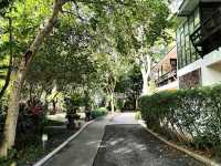 Zantiis Ndol Villas