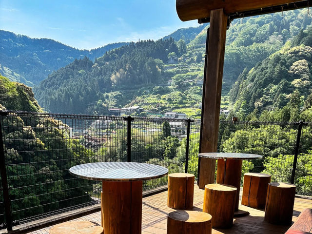 德島🇯🇵 鳥巢 Cafe」靜靜地chill一chill🕊️☕