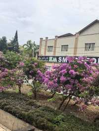 Agriculture town - Raub Pahang