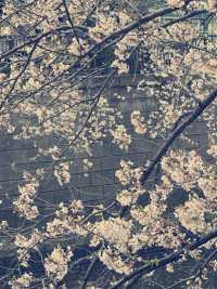 東京目黑購物攻略｜文藝與在地特色的伴手禮精選