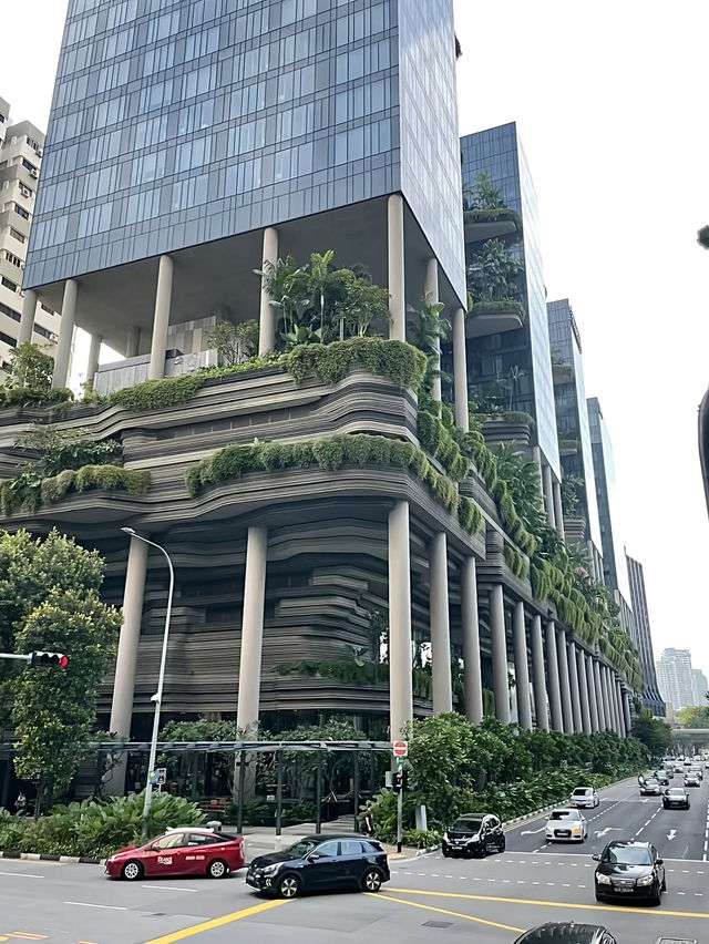 สิงคโปร์🇸🇬