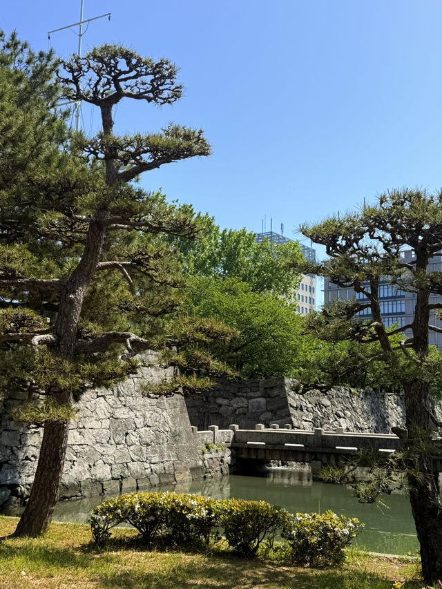 德島｜藩主怪力踩斷青石 絕美千秋閣潮汐庭園枯山水交融