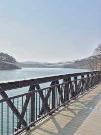 🌿 호수 위를 걷다, 파주 마장호수에서의 하루 🌉