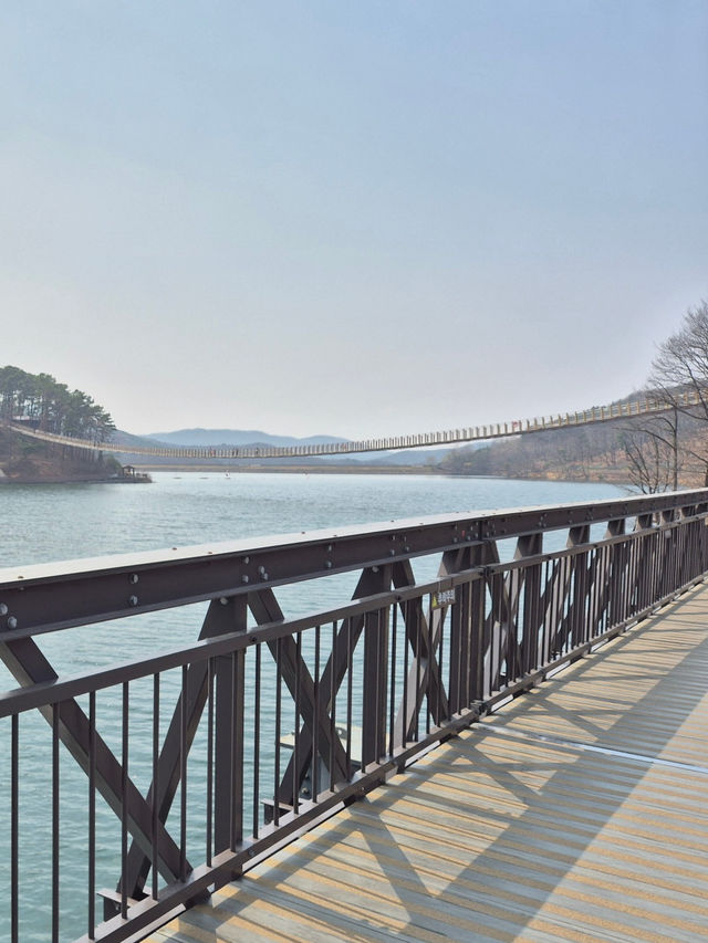 🌿 호수 위를 걷다, 파주 마장호수에서의 하루 🌉