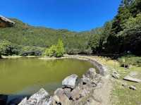 宜蘭｜明池森林遊樂區
