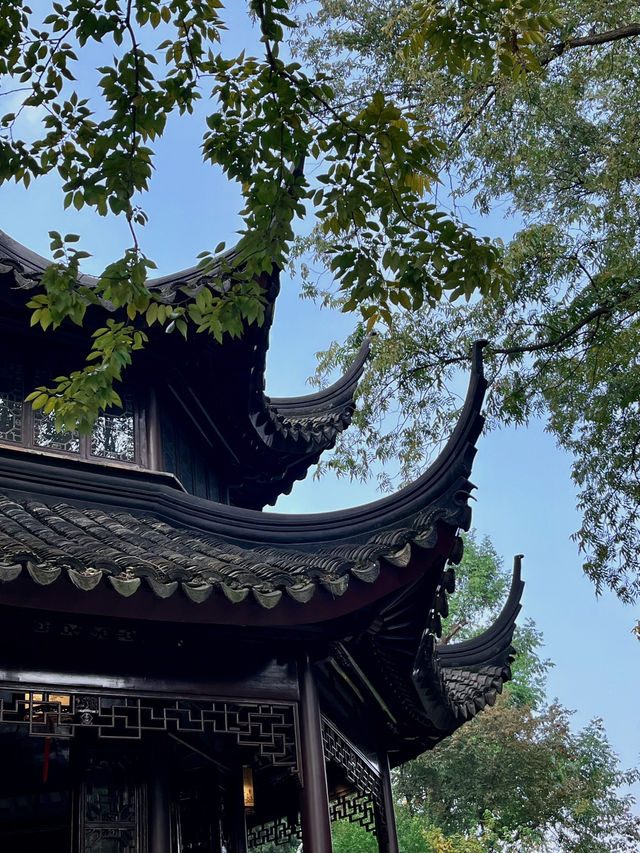 Suzhou: Where Scenery Sings and Flavors Bloom✨