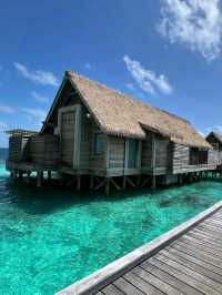 🌴 Waldorf Astoria Maldives Ithaafushi – Paradise Redefined 🐚🌊