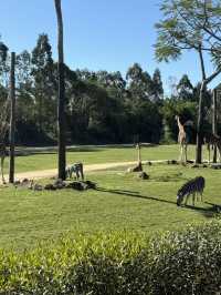 Australia Zoo is just a popular choice