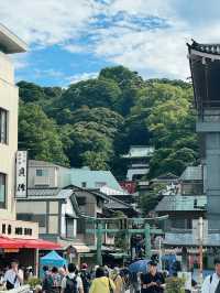 🗻 에노시마에서 후지산 바라보기 ⛩