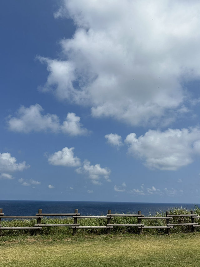 🌴 소소하지만 찬란한 마라도, 오늘의 힐링